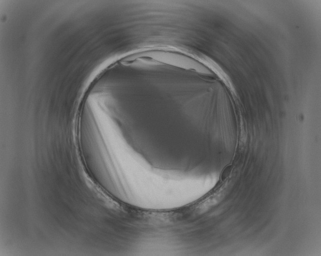 X0000081460958200702021804