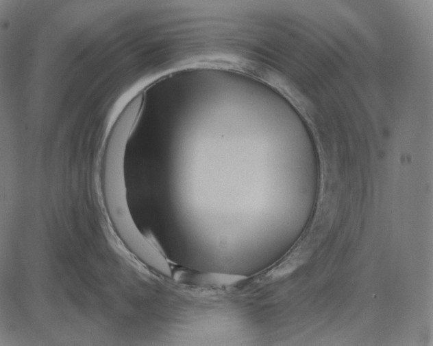 X0000081460960200702021804