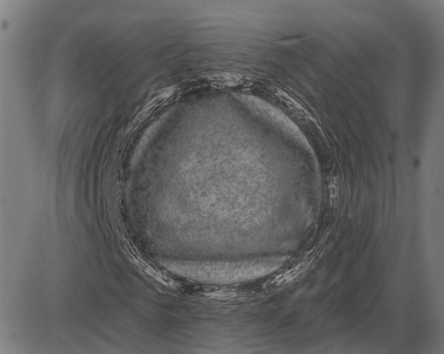 X0000081460961200702021803