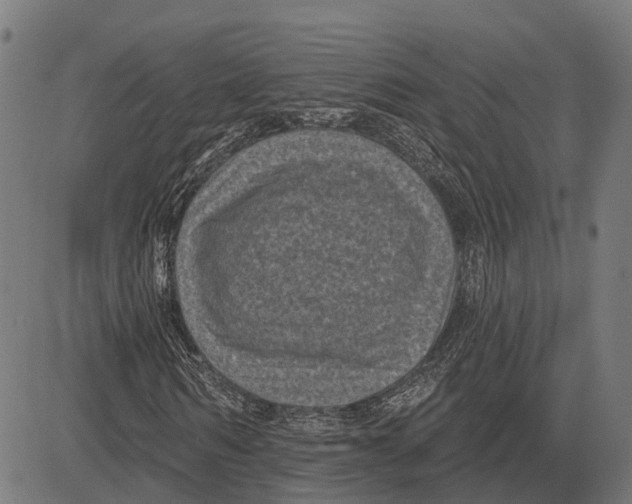 X0000081460962200702021803