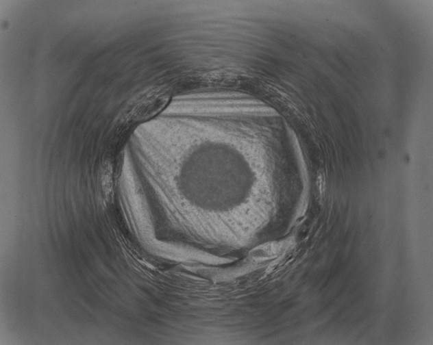 X0000081460963200702021803