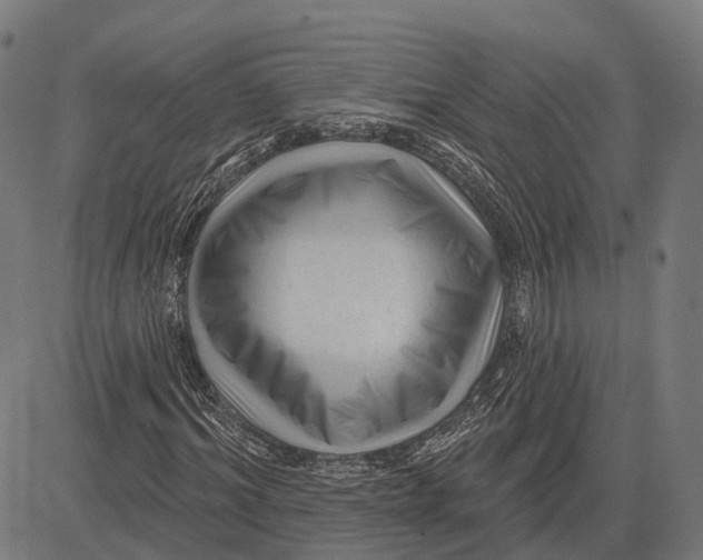 X0000081460964200702021803