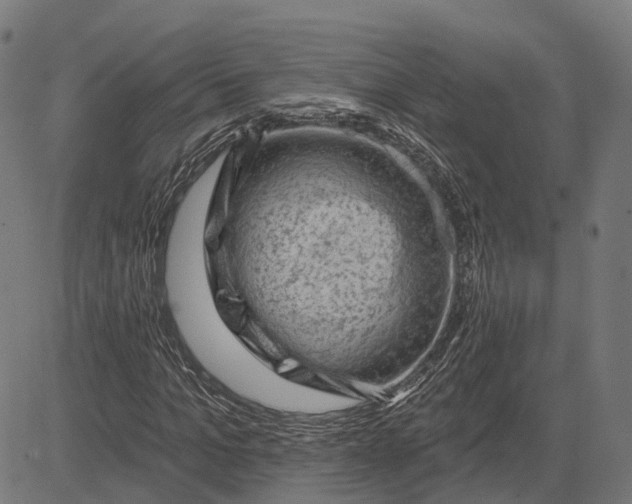 X0000081460965200702021803