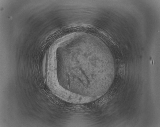 X0000081460966200702021803