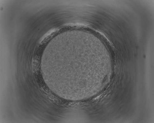 X0000081460967200702021803