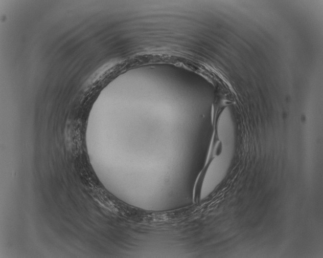 X0000081460968200702021803