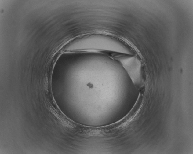 X0000081460969200702021803