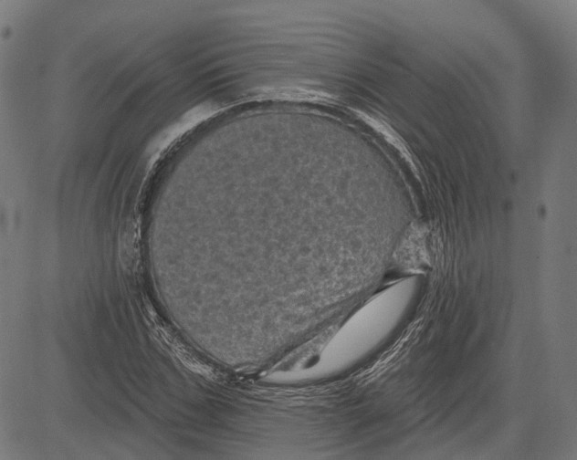 X0000081460971200702021803