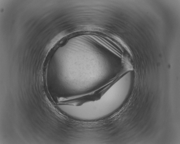 X0000081460972200702021803