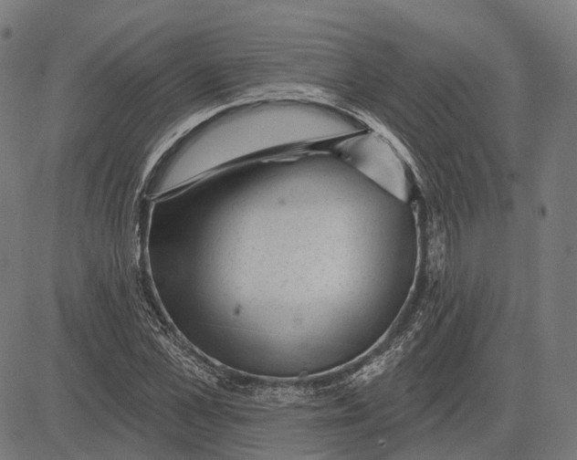 X0000081460973200702021803