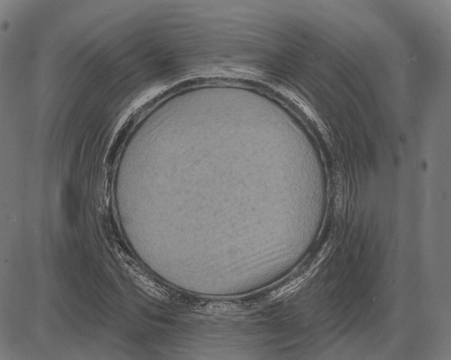 X0000081460974200702021803