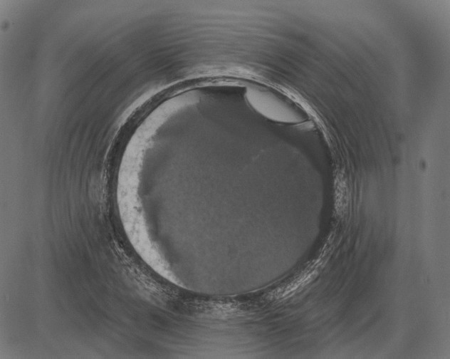 X0000081460975200702021803