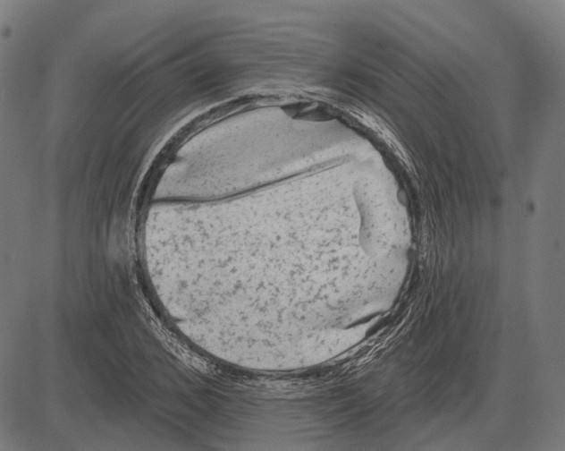 X0000081460976200702021803