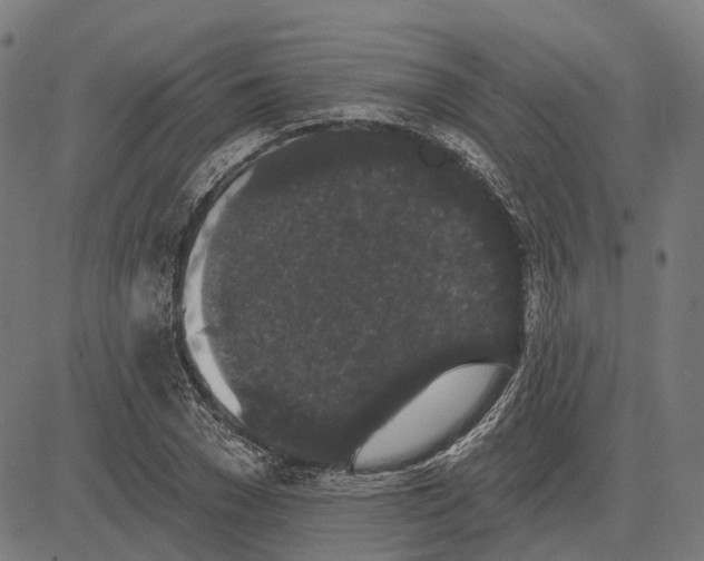 X0000081460977200702021803