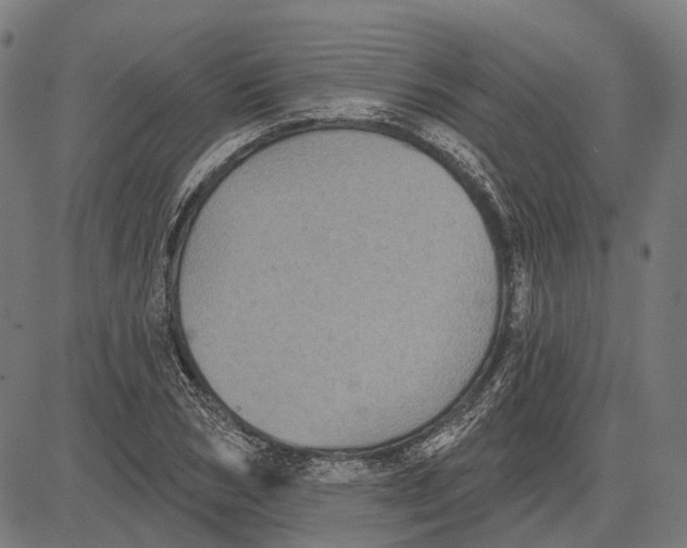 X0000081460978200702021803