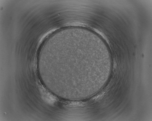 X0000081460979200702021803