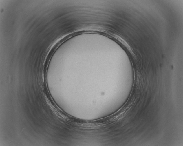 X0000081460980200702021803