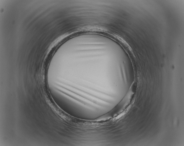 X0000081460981200702021803