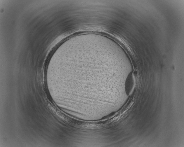 X0000081460982200702021803