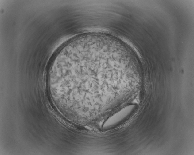 X0000081460983200702021803