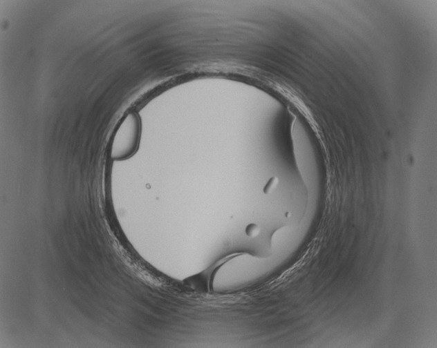 X0000081460984200702021803