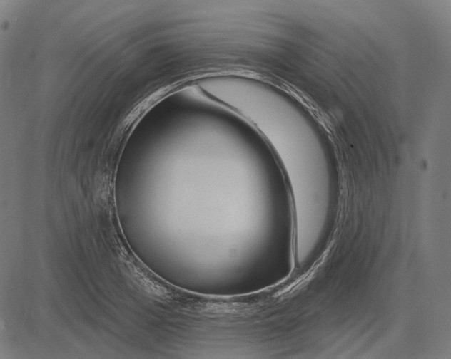 X0000081460985200702021803