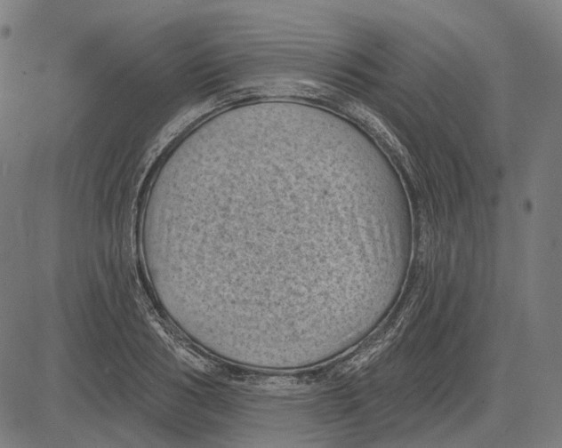 X0000081460986200702021803