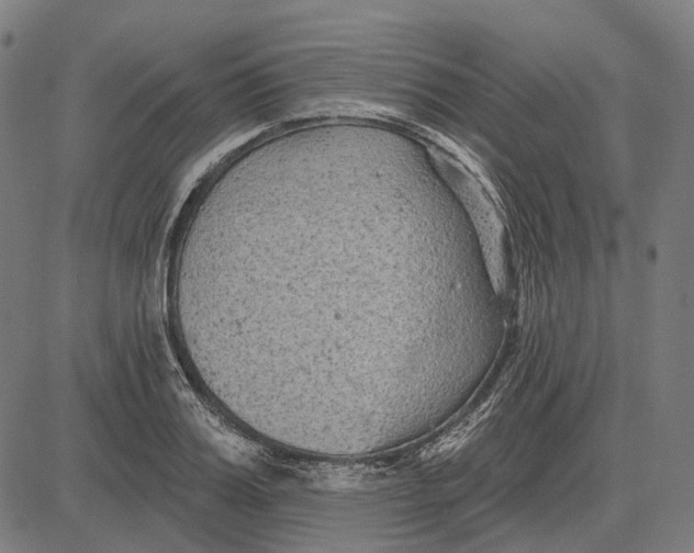 X0000081460987200702021803