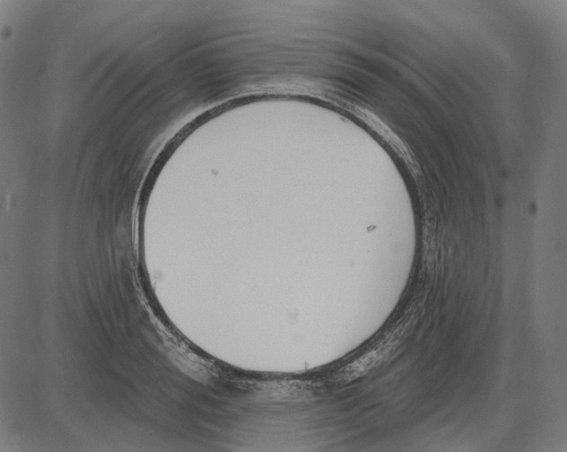 X0000081460988200702021803