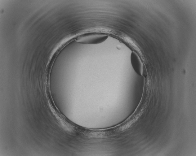 X0000081460989200702021803