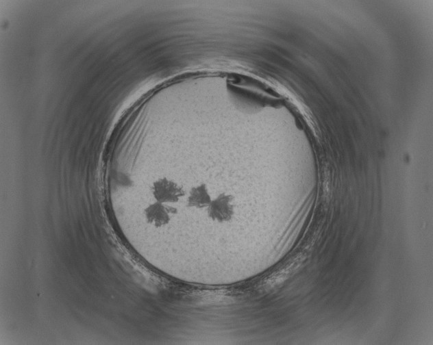 X0000081460990200702021803