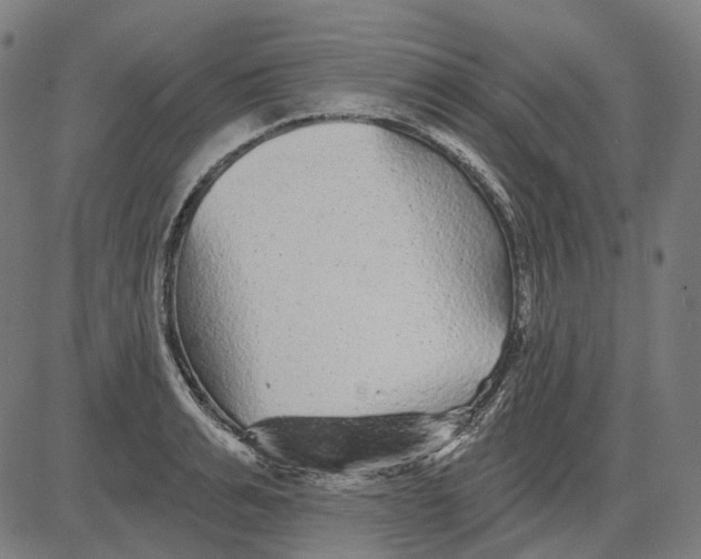 X0000081460991200702021803