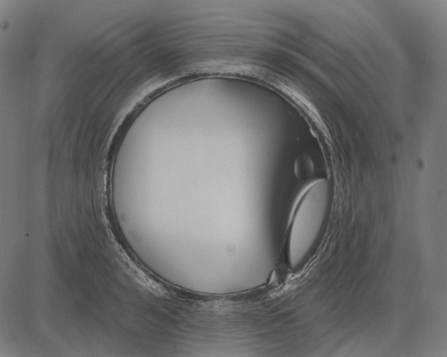 X0000081460992200702021803