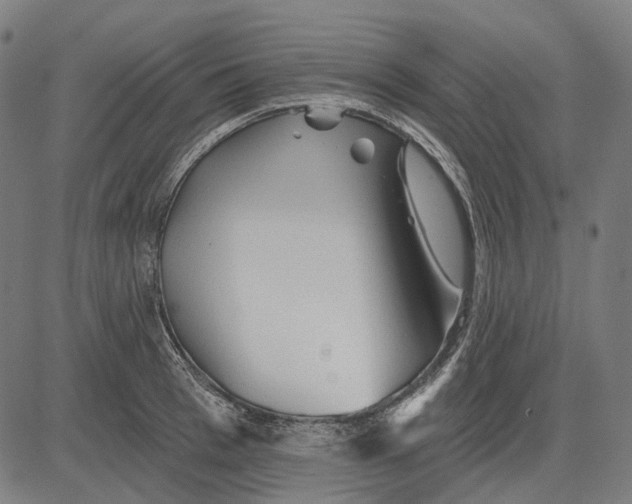 X0000081460993200702021803