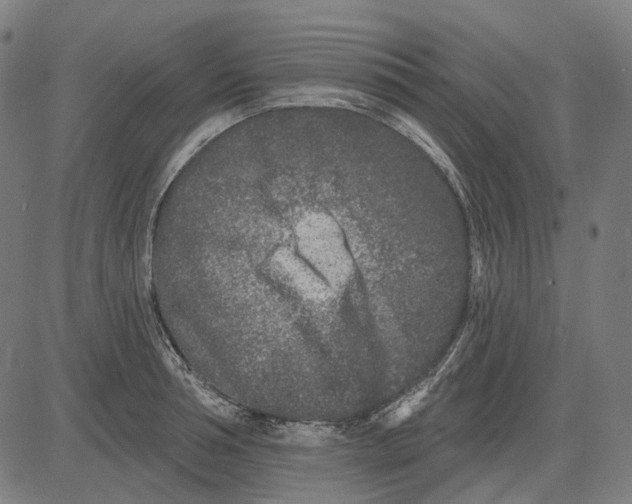 X0000081460994200702021803