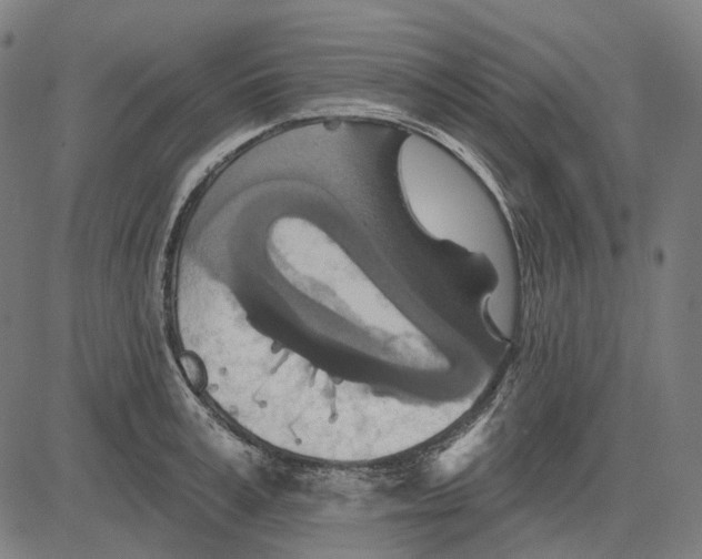 X0000081460995200702021803