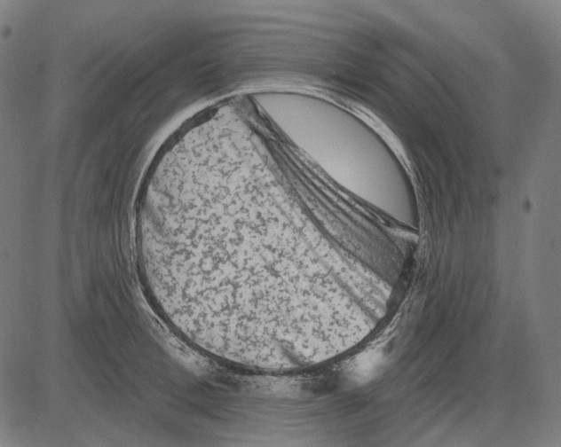 X0000081460996200702021803