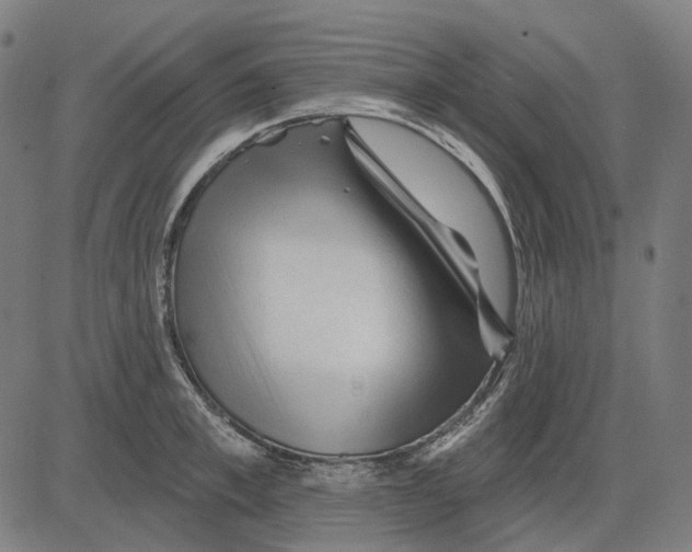 X0000081460997200702021803