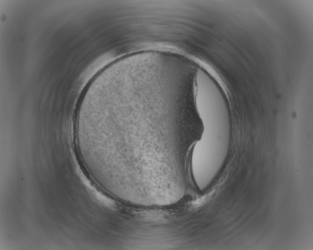 X0000081460999200702021803