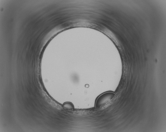 X0000081461000200702021803