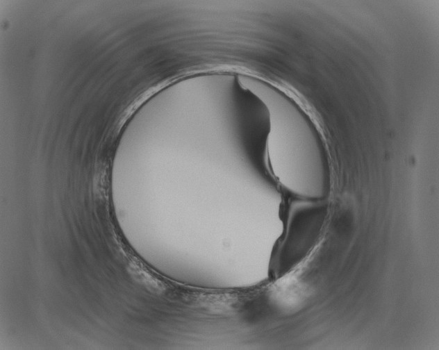 X0000081461001200702021803