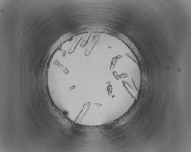 X0000081461002200702021803