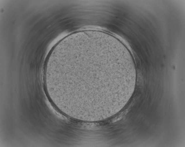 X0000081461003200702021803