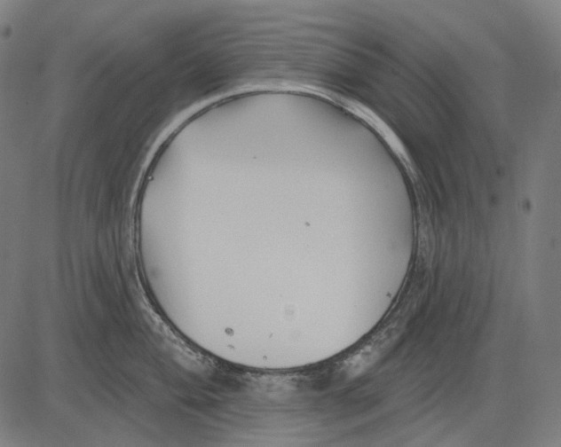 X0000081461004200702021803