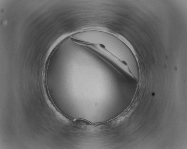 X0000081461005200702021803