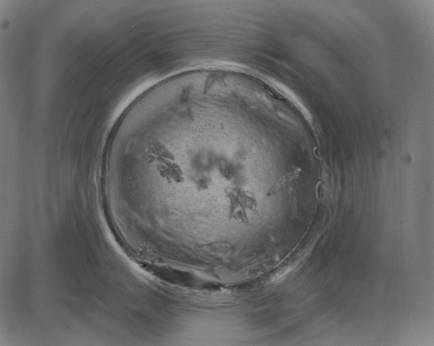 X0000081461007200702021803