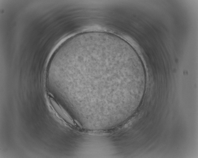 X0000081461008200702021803