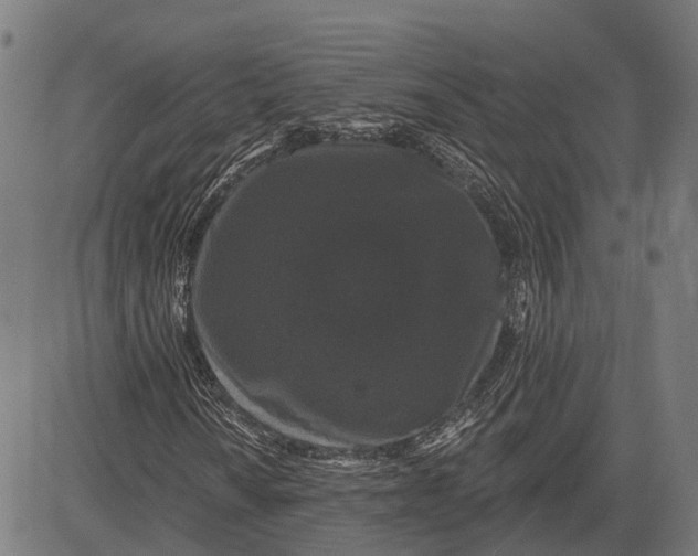 X0000081461010200702021802