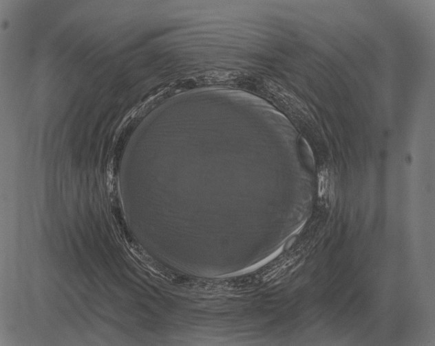 X0000081461011200702021802