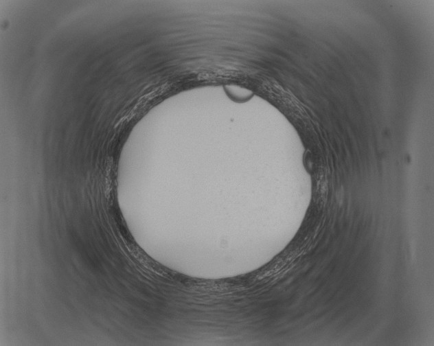 X0000081461012200702021802